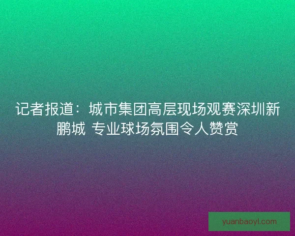 记者报道：城市集团高层现场观赛深圳新鹏城 专业球场氛围令人赞赏